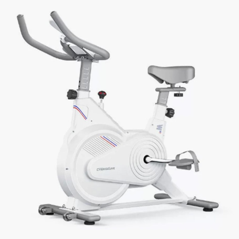 Home Gym Technogym - Sepeda Spin Statis Dalam Ruangan, Sepeda