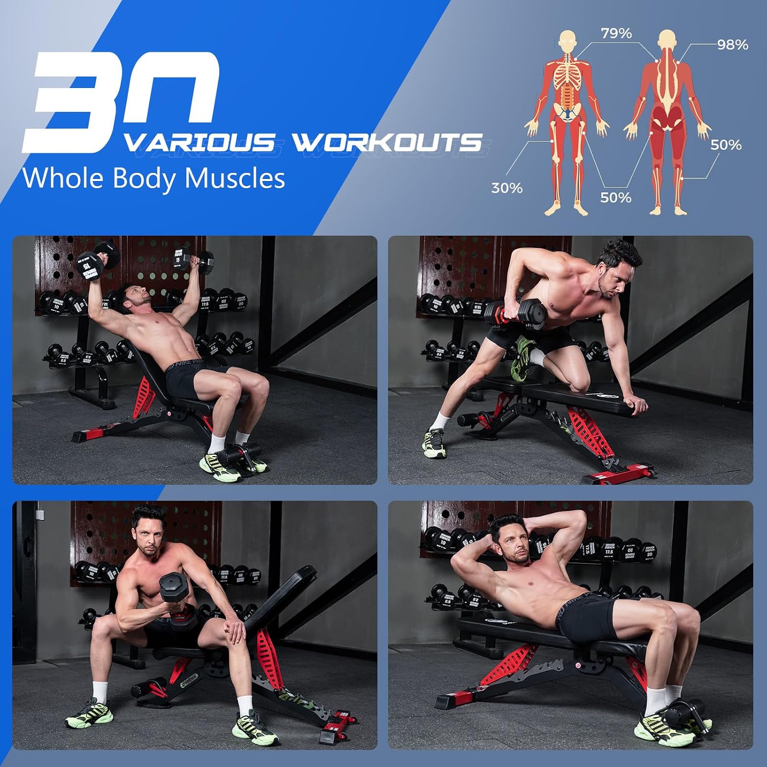 Bangku Angkat Beban yang Dapat - Home Gym Weight Bench ulasan dan harga