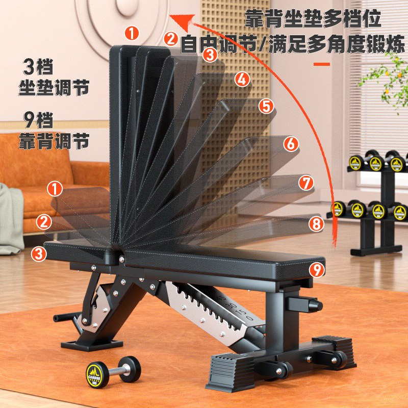 Bangku Dumbbell Multi-Fungsi y - Home Gym Weight Bench ulasan dan harga
