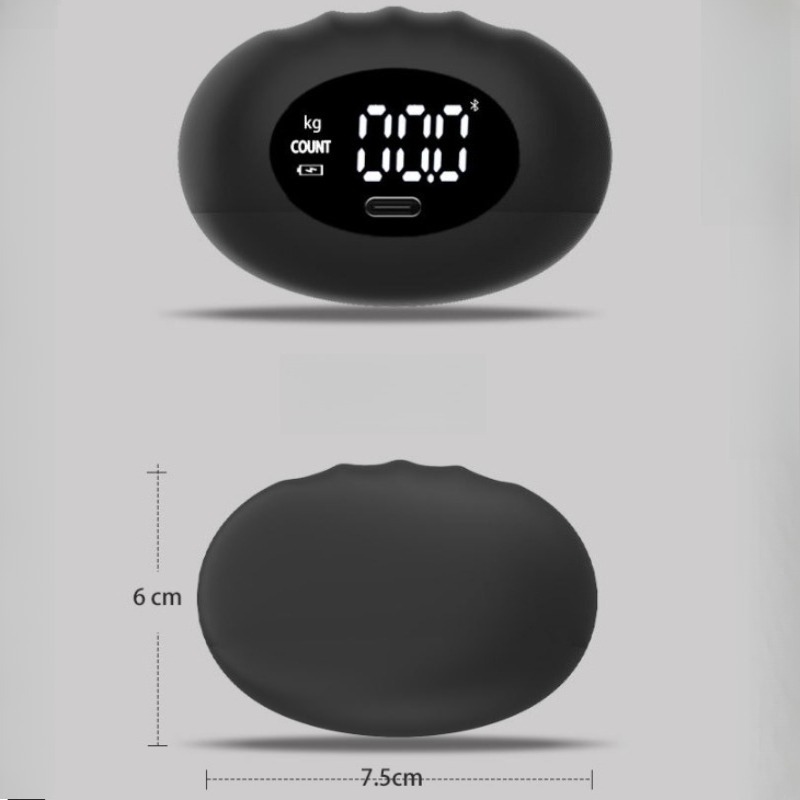 Dinamometer Tangan Digital Erg - Home Gym Technogym ulasan dan harga