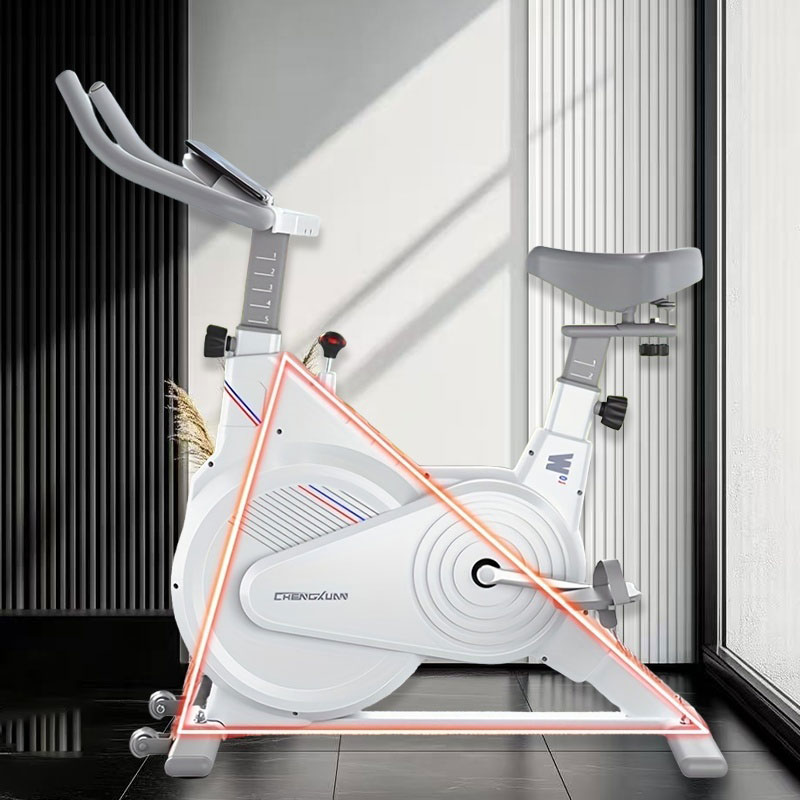 Sepeda Spin Statis Dalam Ruang - Home Gym Technogym ulasan dan harga