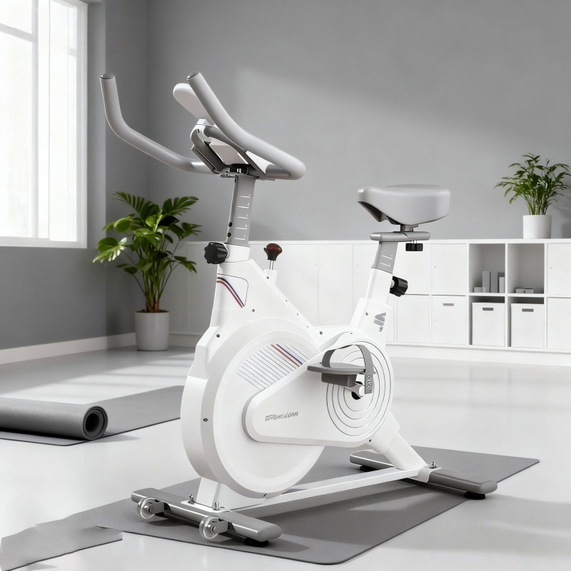 Sepeda Spin Statis Dalam Ruang - Home Gym Technogym ulasan dan harga